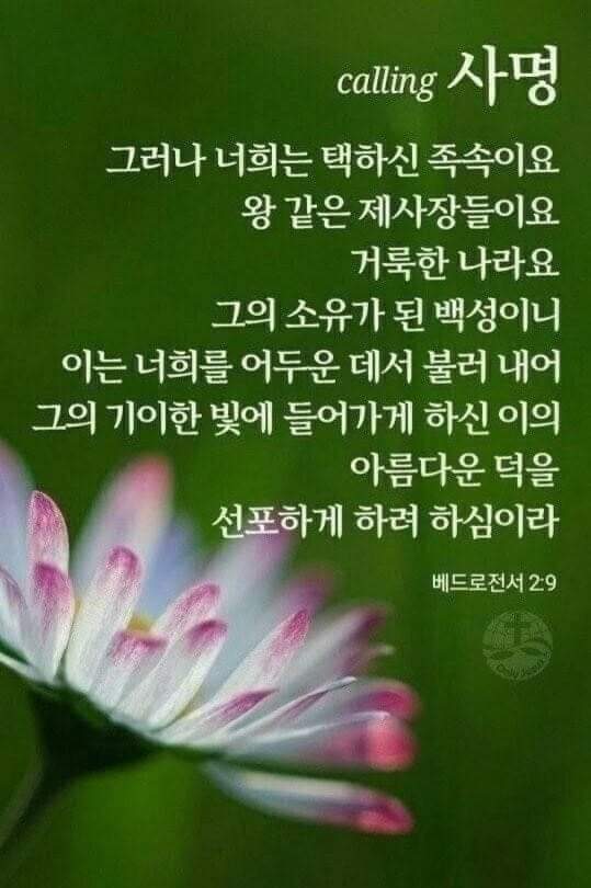 724a9d2af31a6.jpg