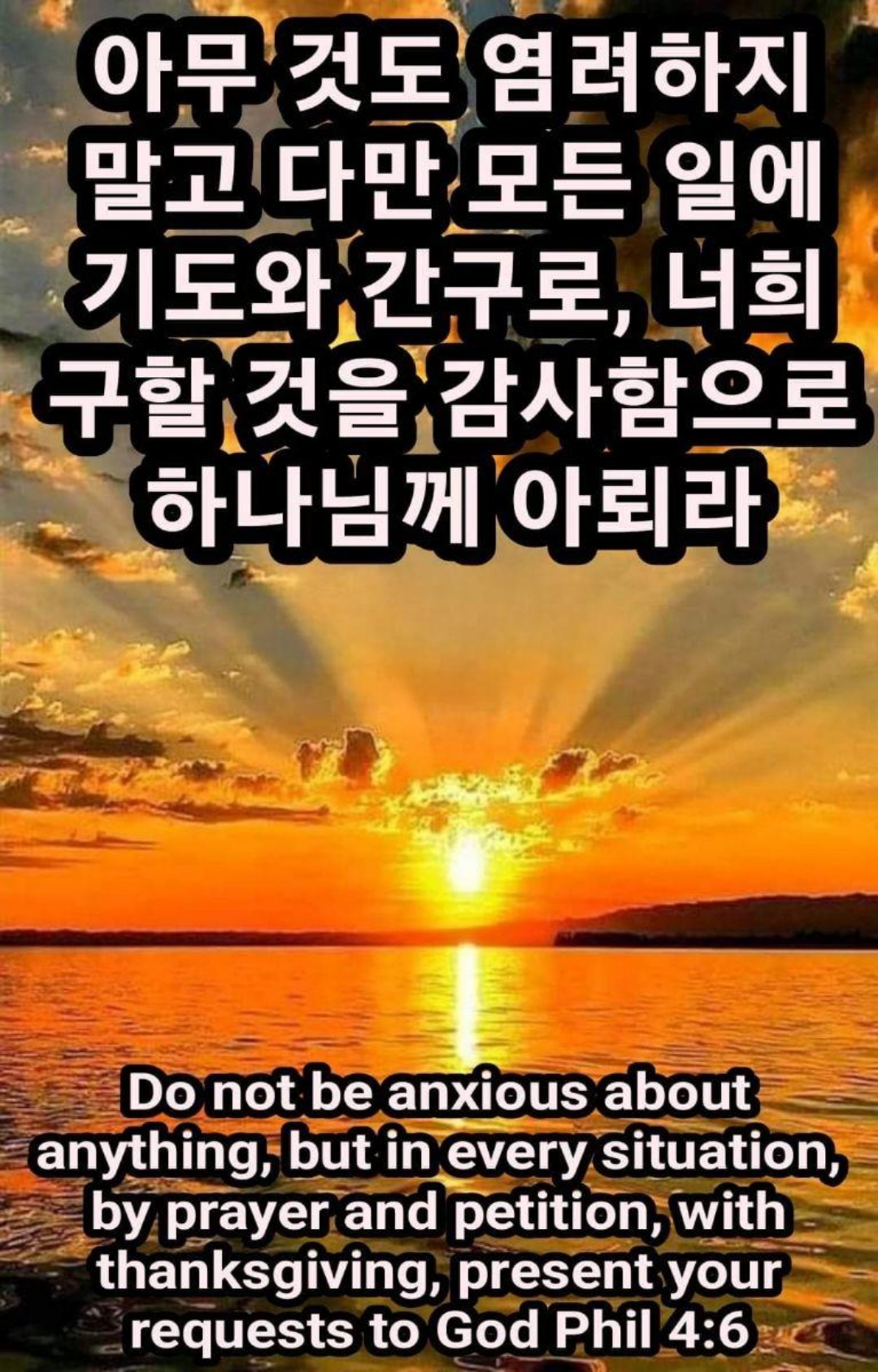 786ee073f9f4d.jpg