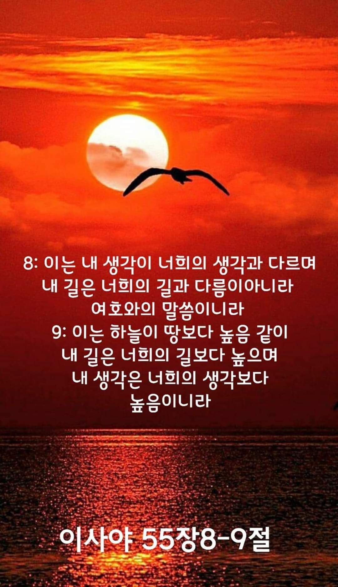7905740dc1f66.jpg
