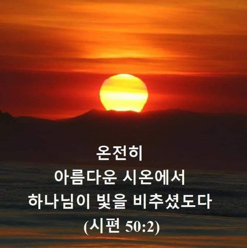 7927a20c38281.jpg