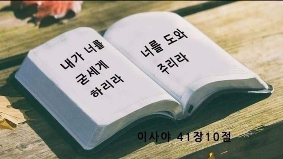 79fc4f528f0a1.jpg