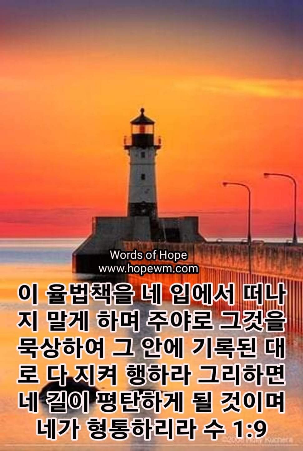 7a1fbfe0ab62d.jpg