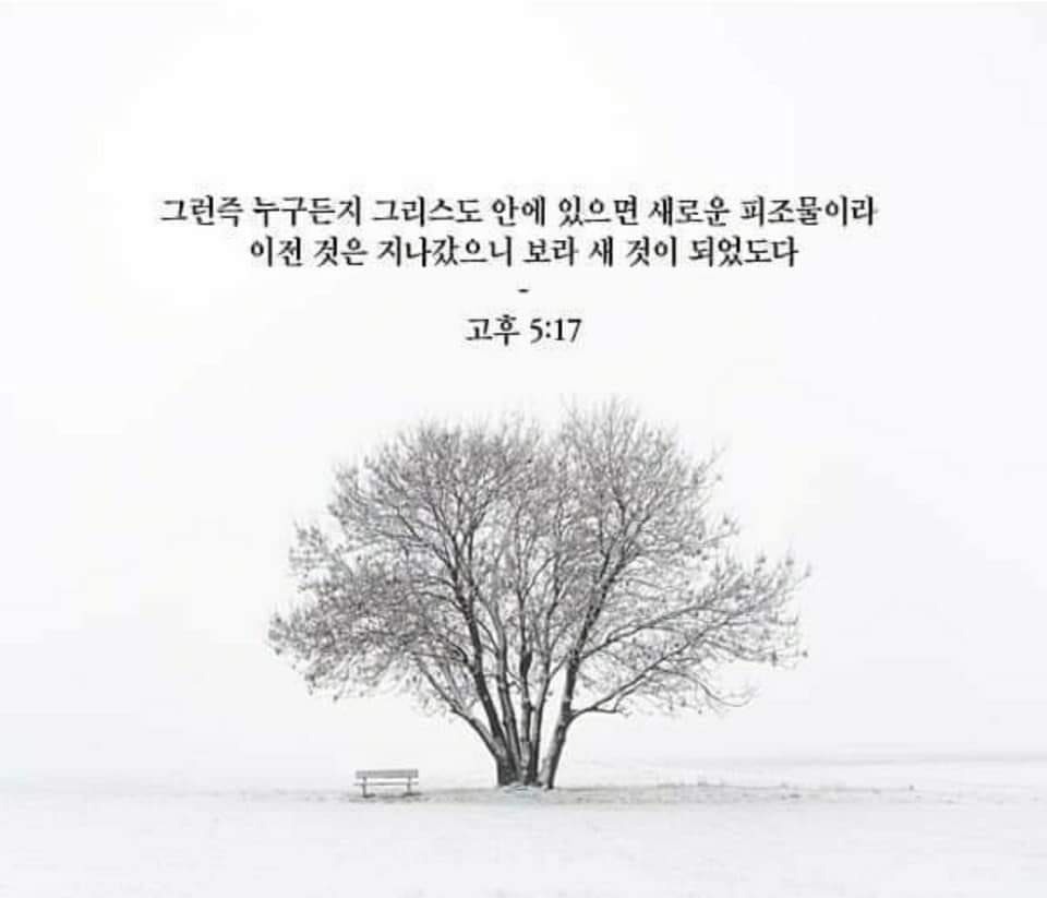 7bf79b04f8ed1.jpg