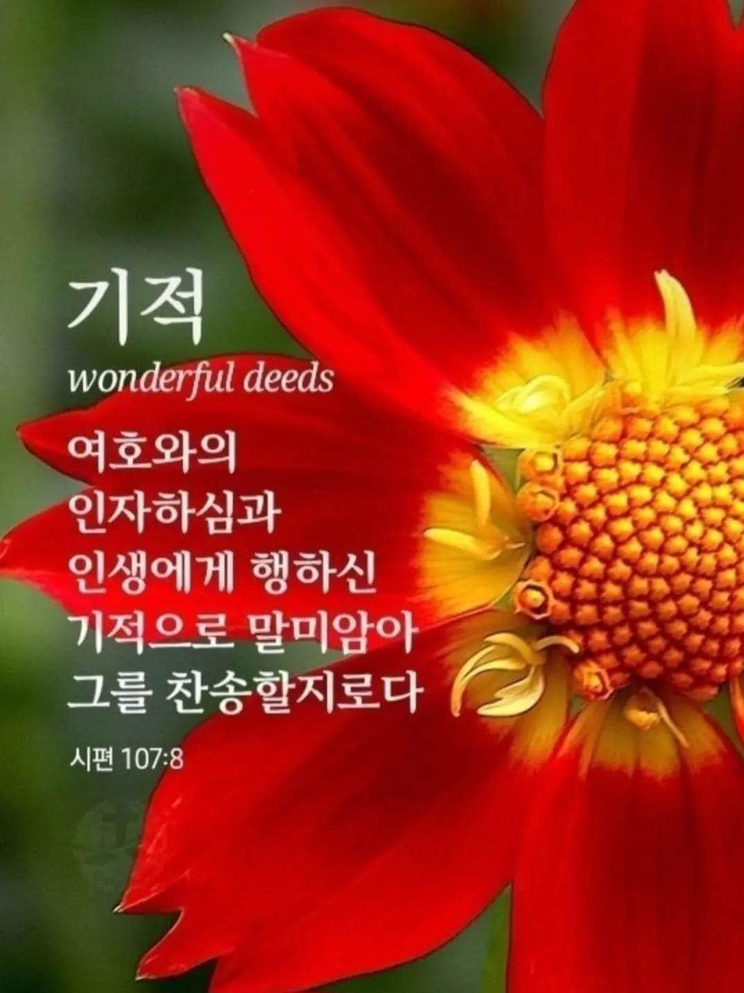 803dd26478e22.jpg