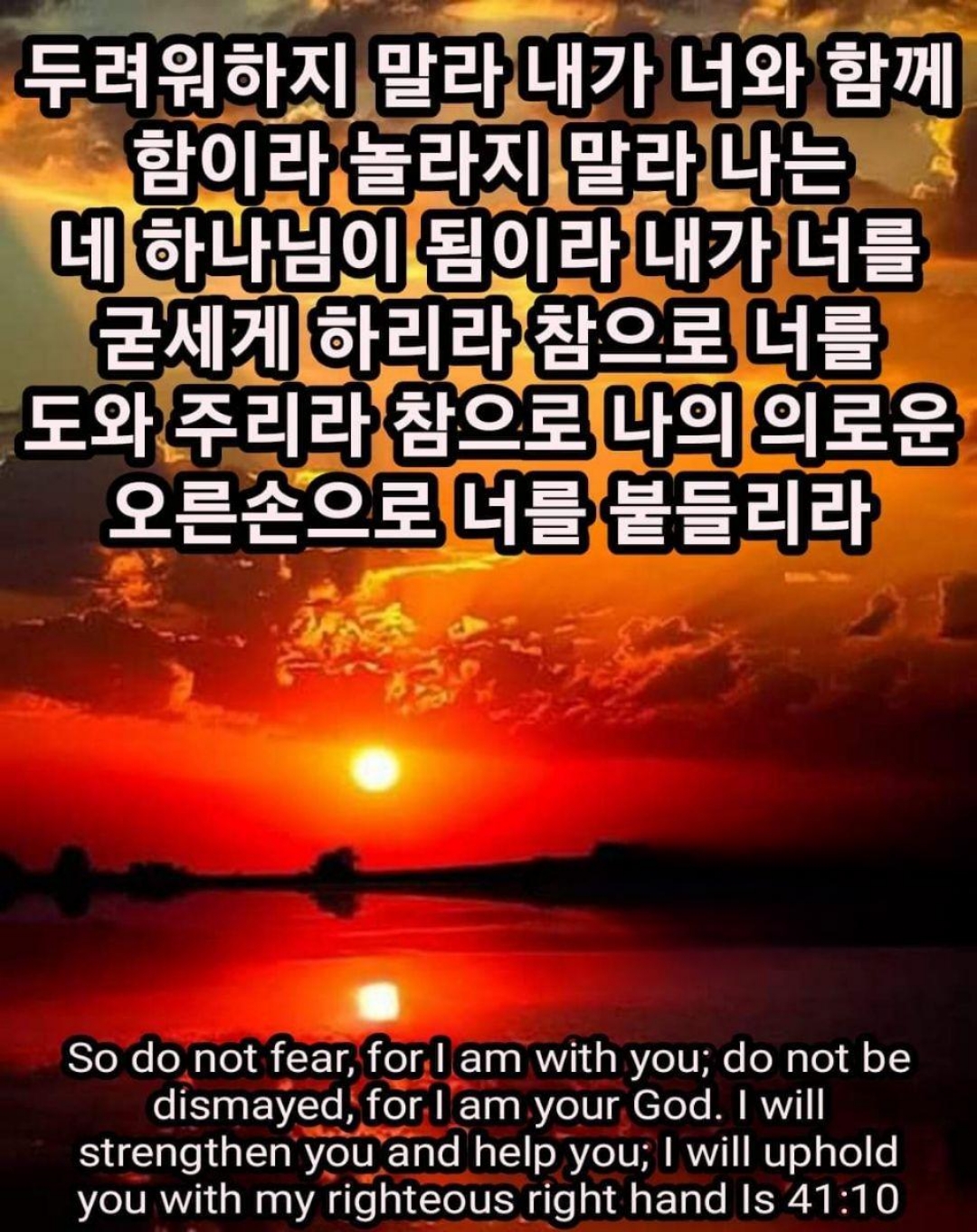 81057a8c646b2.jpg