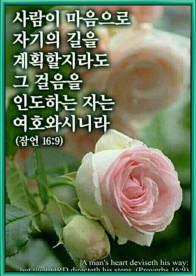 82324bd784c1c.jpg