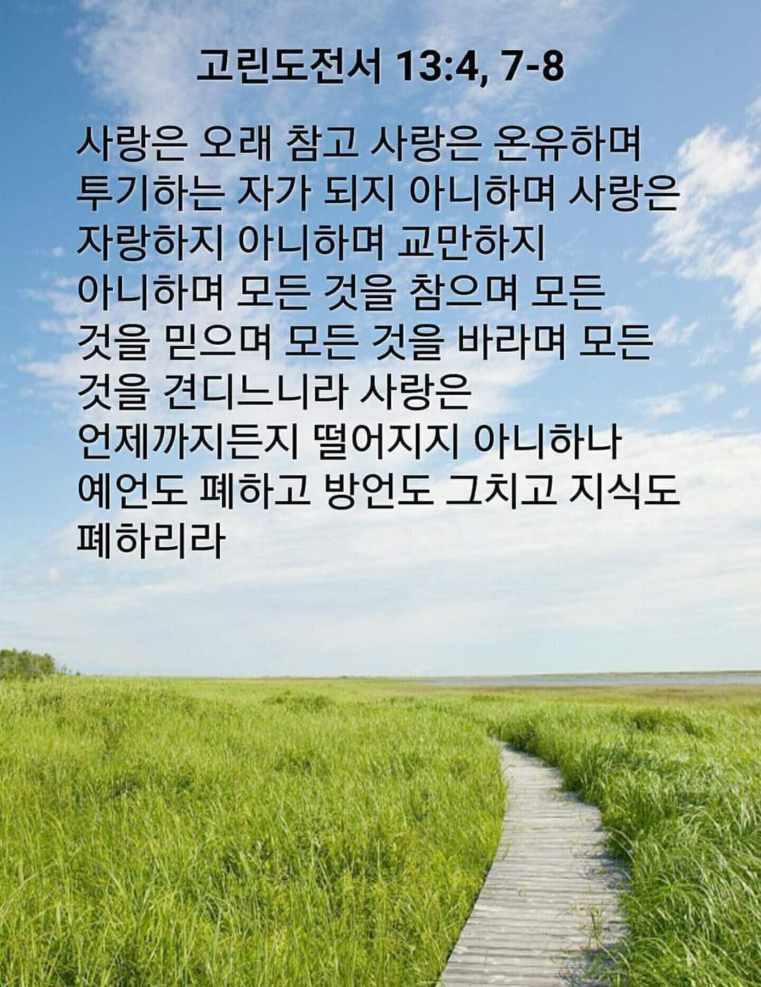 823e655f612d9.jpg