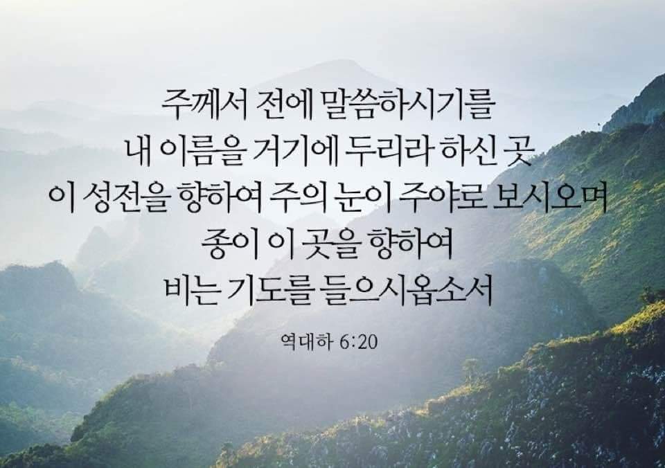 829ffd5511151.jpg