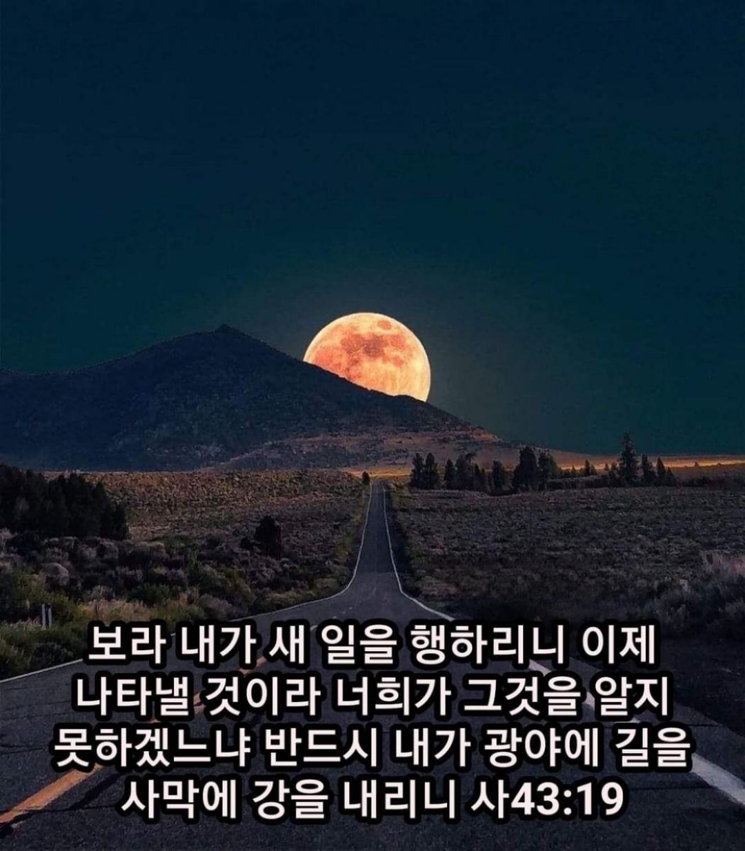 82c40376a7924.jpg