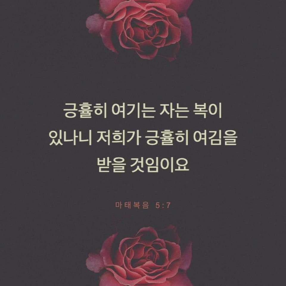 832e1666103d2.jpg