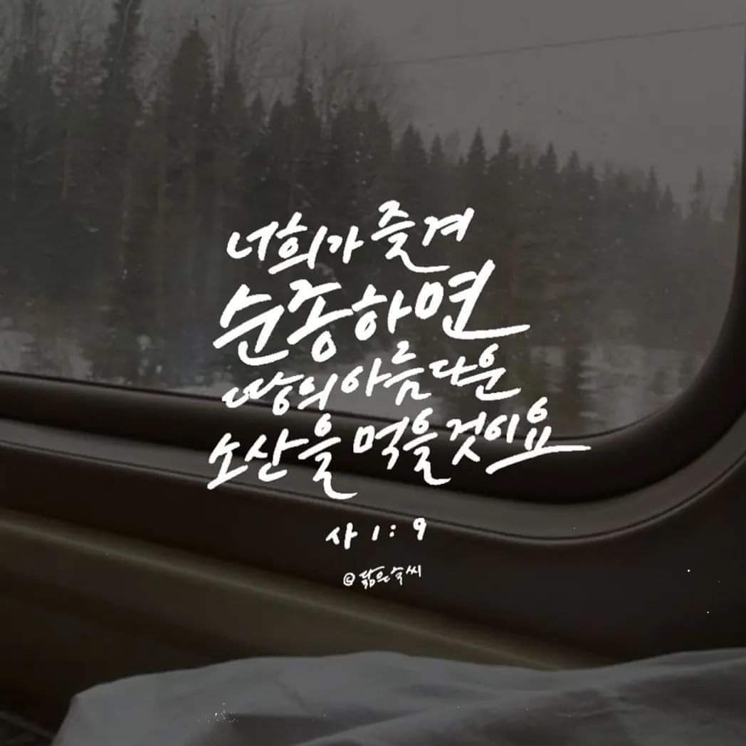 870798201207f.jpg