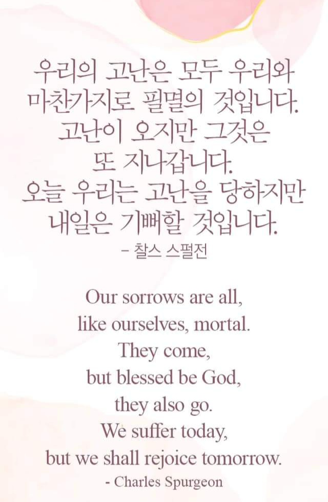 8842ebd41117b.jpg
