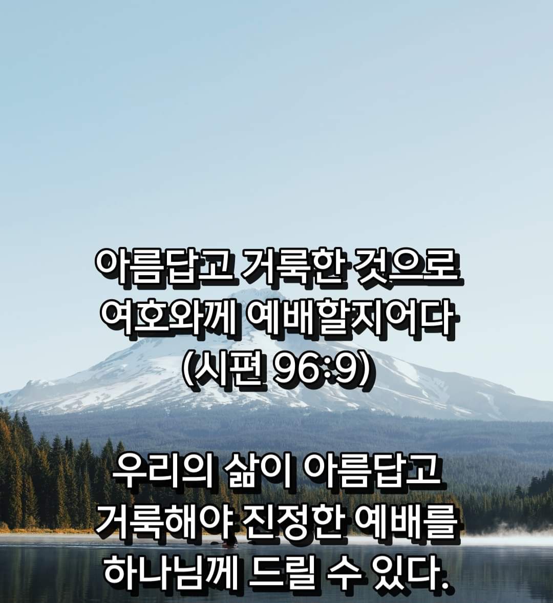 8926f53f9cc2c.jpg