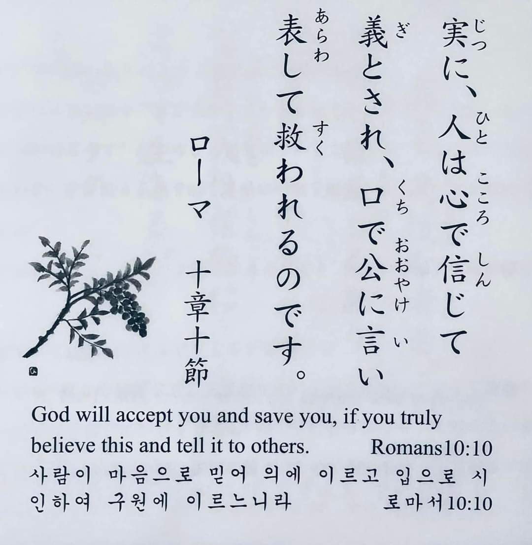 8af6b1f6f8618.jpg