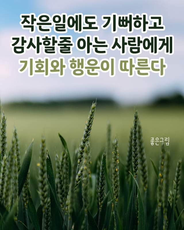 8f1ffc7e2a317.jpg
