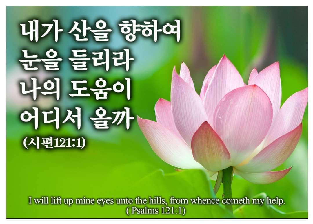 905a8fe0b2382.jpg