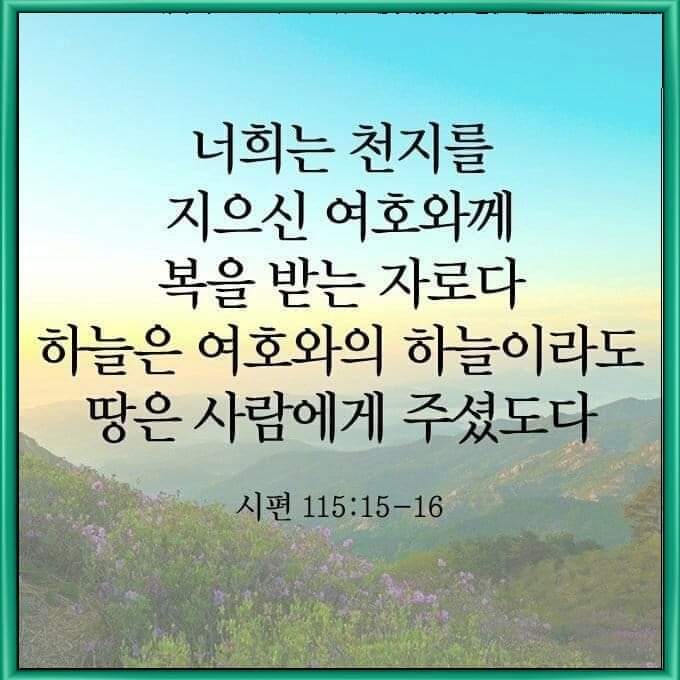 9521724d38be5.jpg