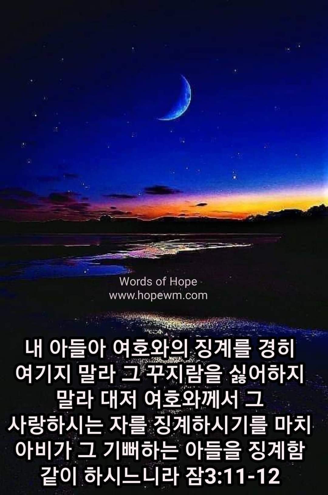 965a66a667adb.jpg