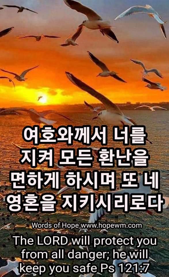 98c66305e9714.jpg