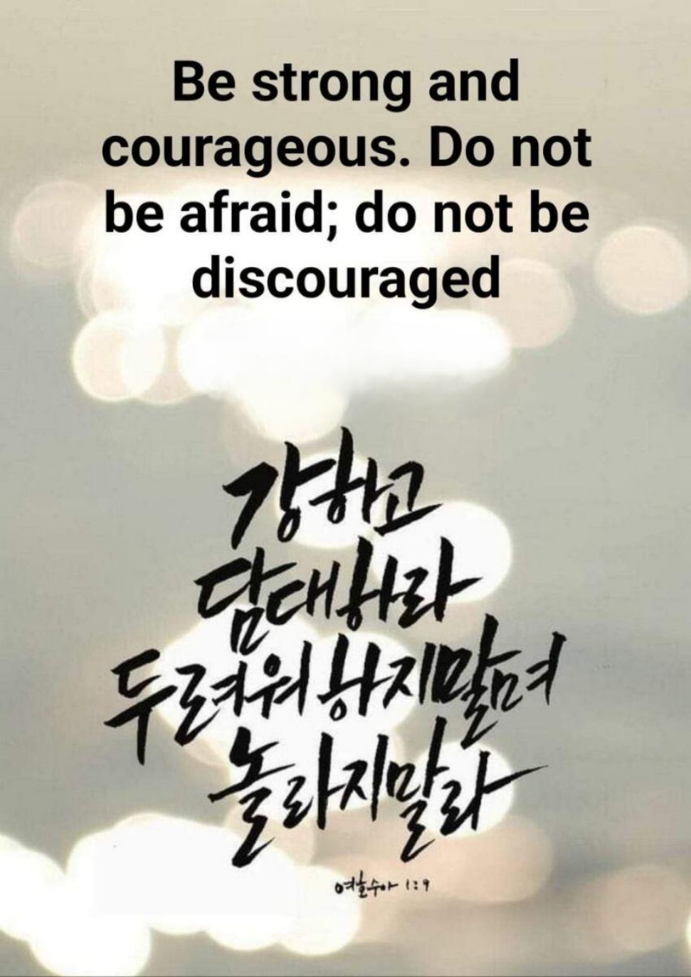 998c2a459c60d.jpg