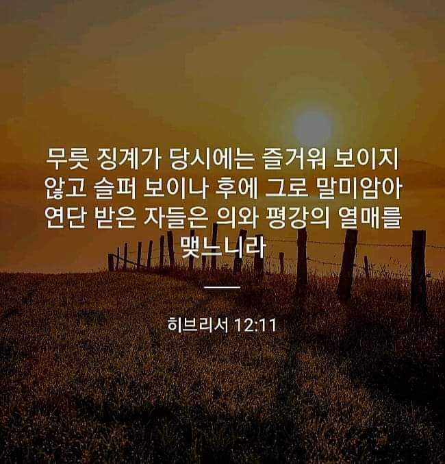 9a4faebe63890.jpg