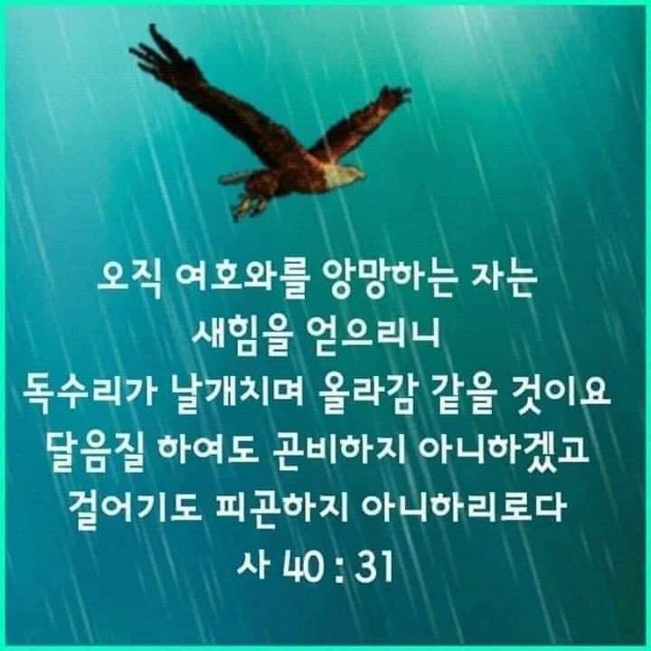 9b6e8bb130bd0.jpg