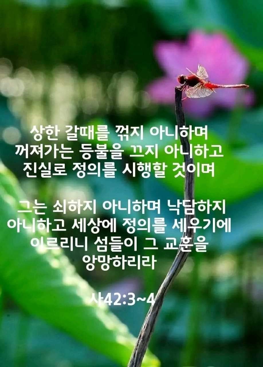 9dd25ba775c99.jpg
