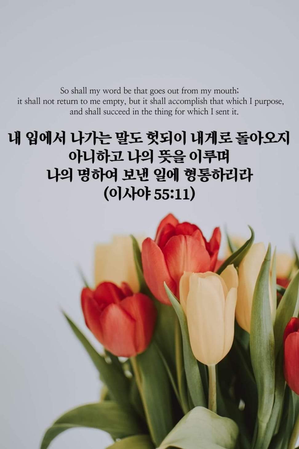 9f2ea12dce91d.jpg