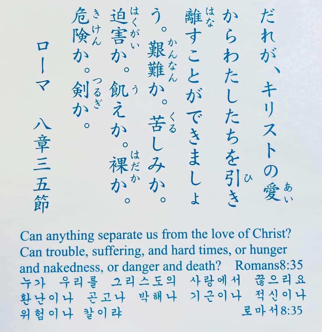 a079ce7e66e2b.jpg