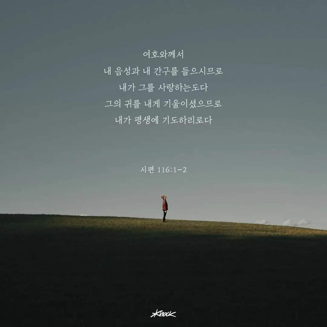 a0f2e1e934c28.jpg