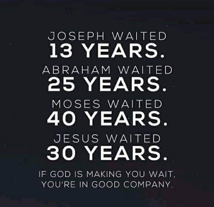 a23e14ddb7c51.jpg
