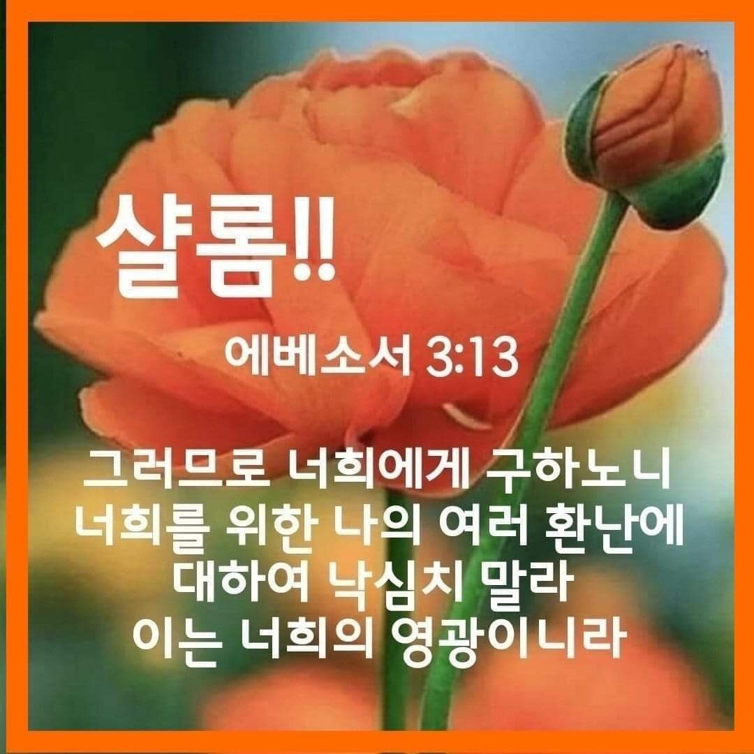 a31a4df7a2081.jpg