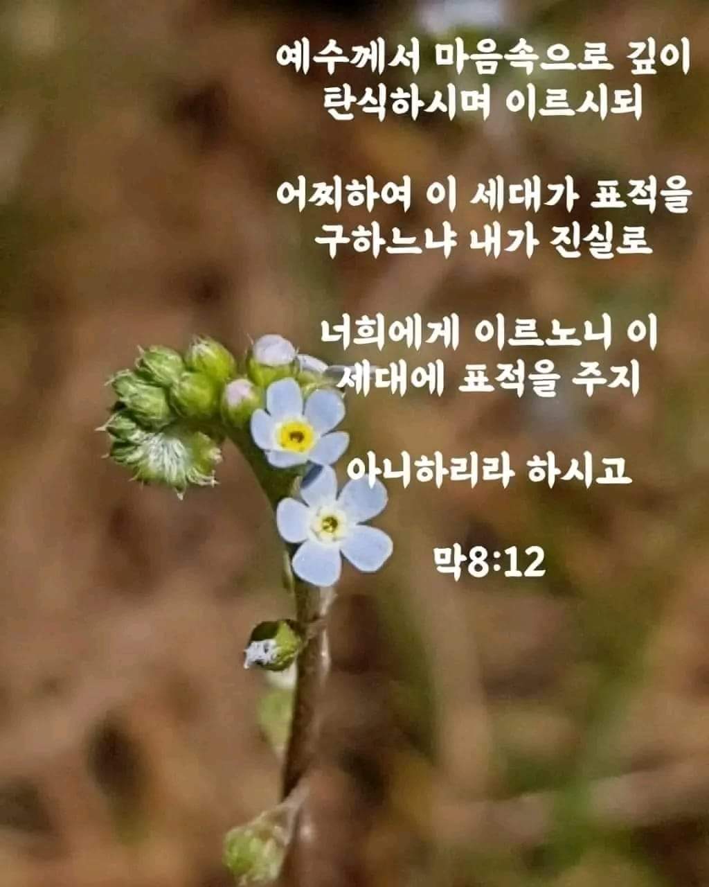 a77392bf91ed2.jpg