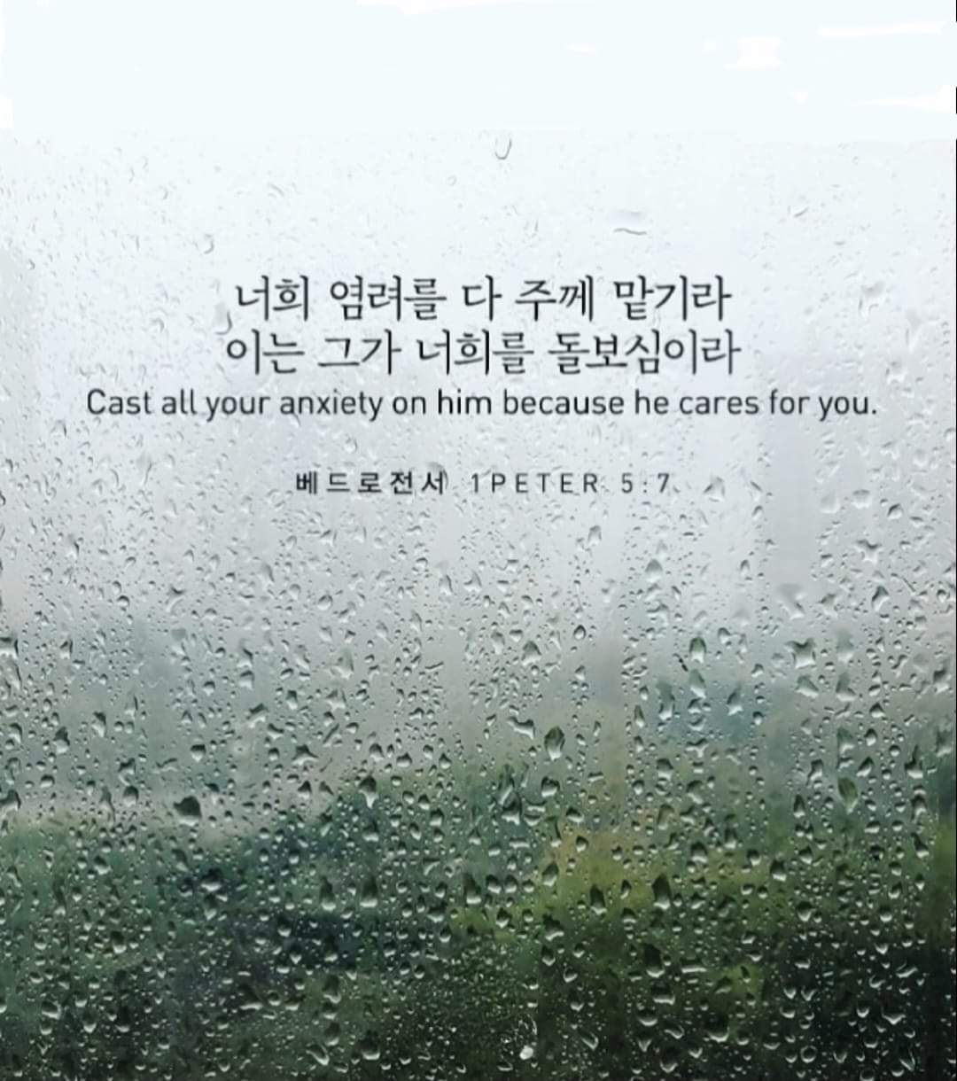 ad602890c2a42.jpg