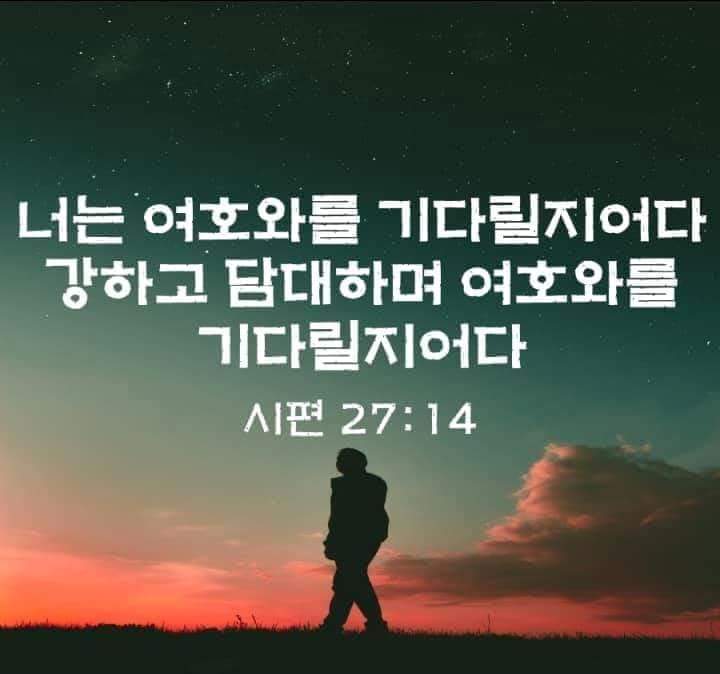 b1e0e6108bd5b.jpg