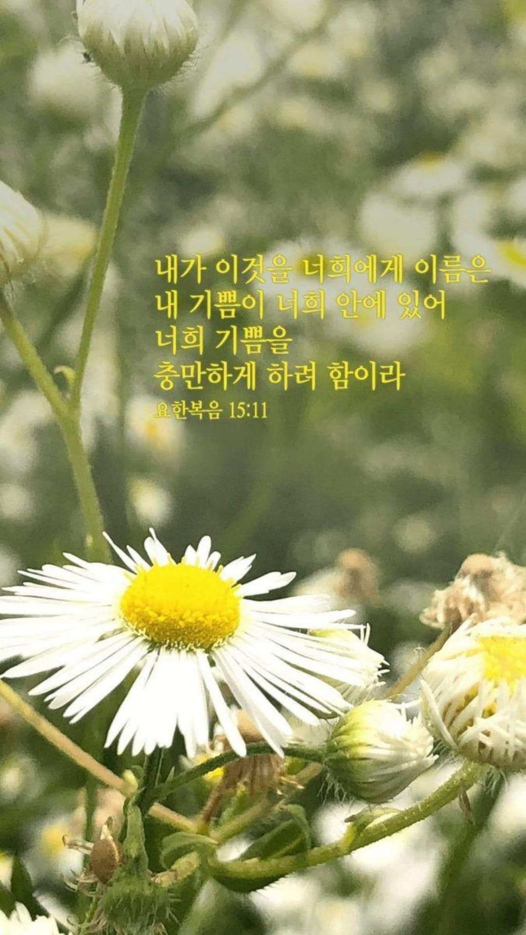 b2da17a9802d4.jpg