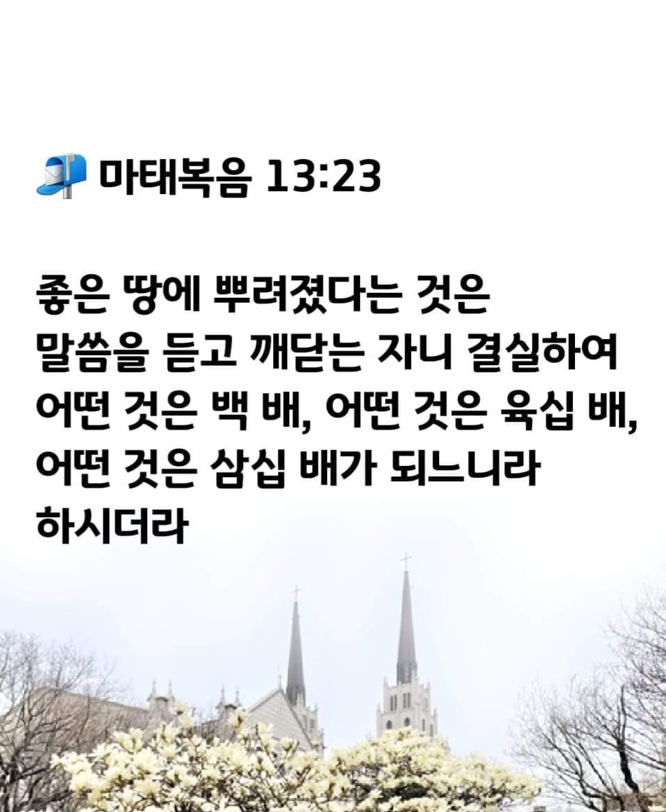 b3ce5b9306bbf.jpg
