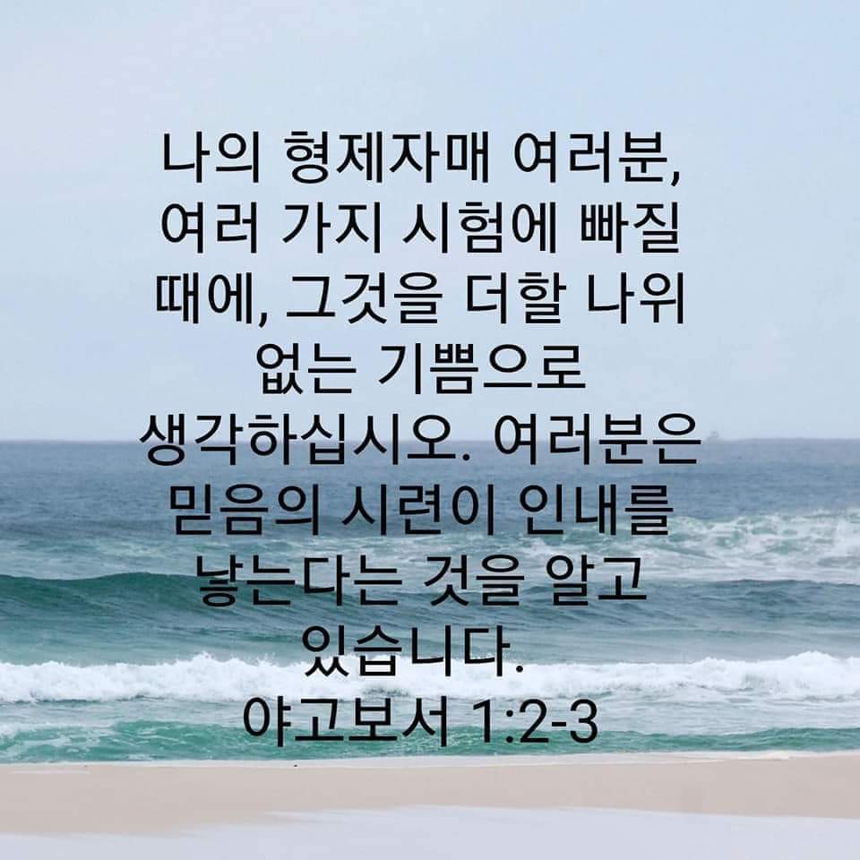b56d728ba0dd6.jpg