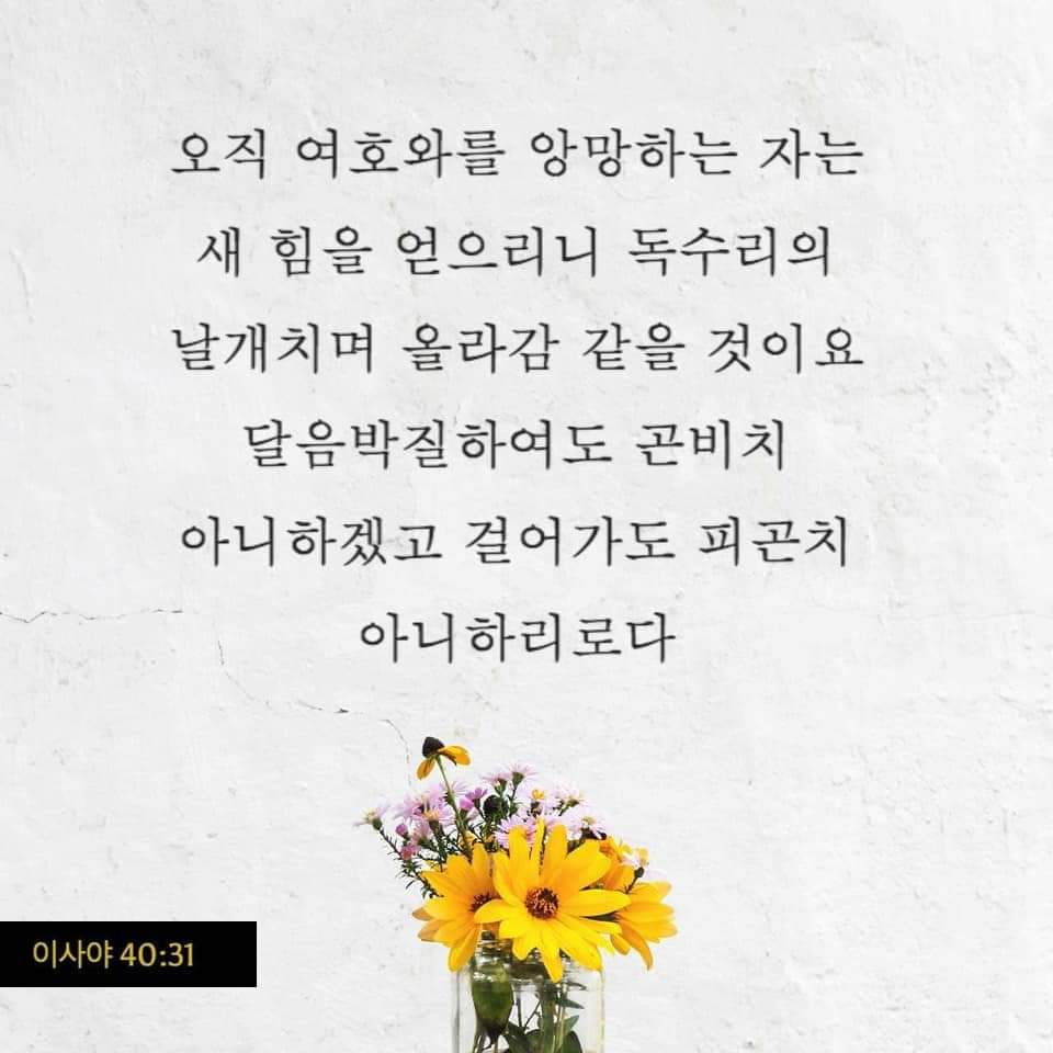 b671c83e380cb.jpg