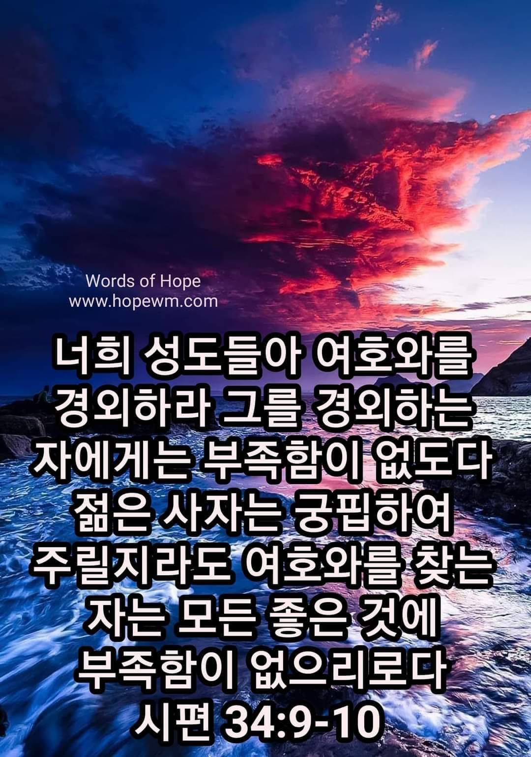 b8391e7075f09.jpg