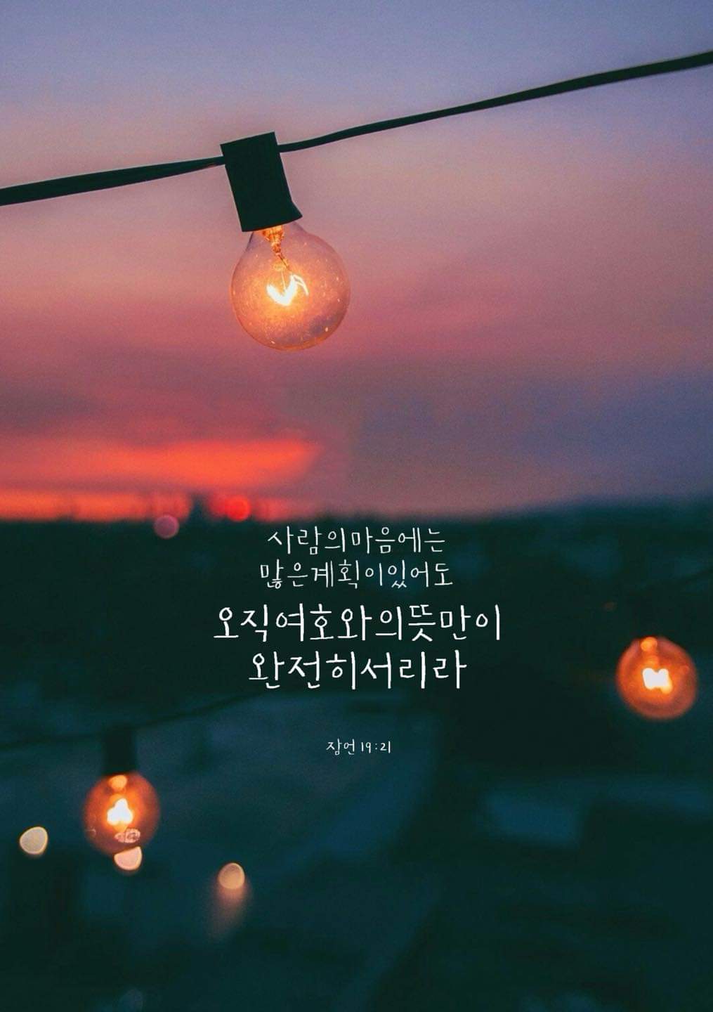 ba261abfbb7a8.jpg
