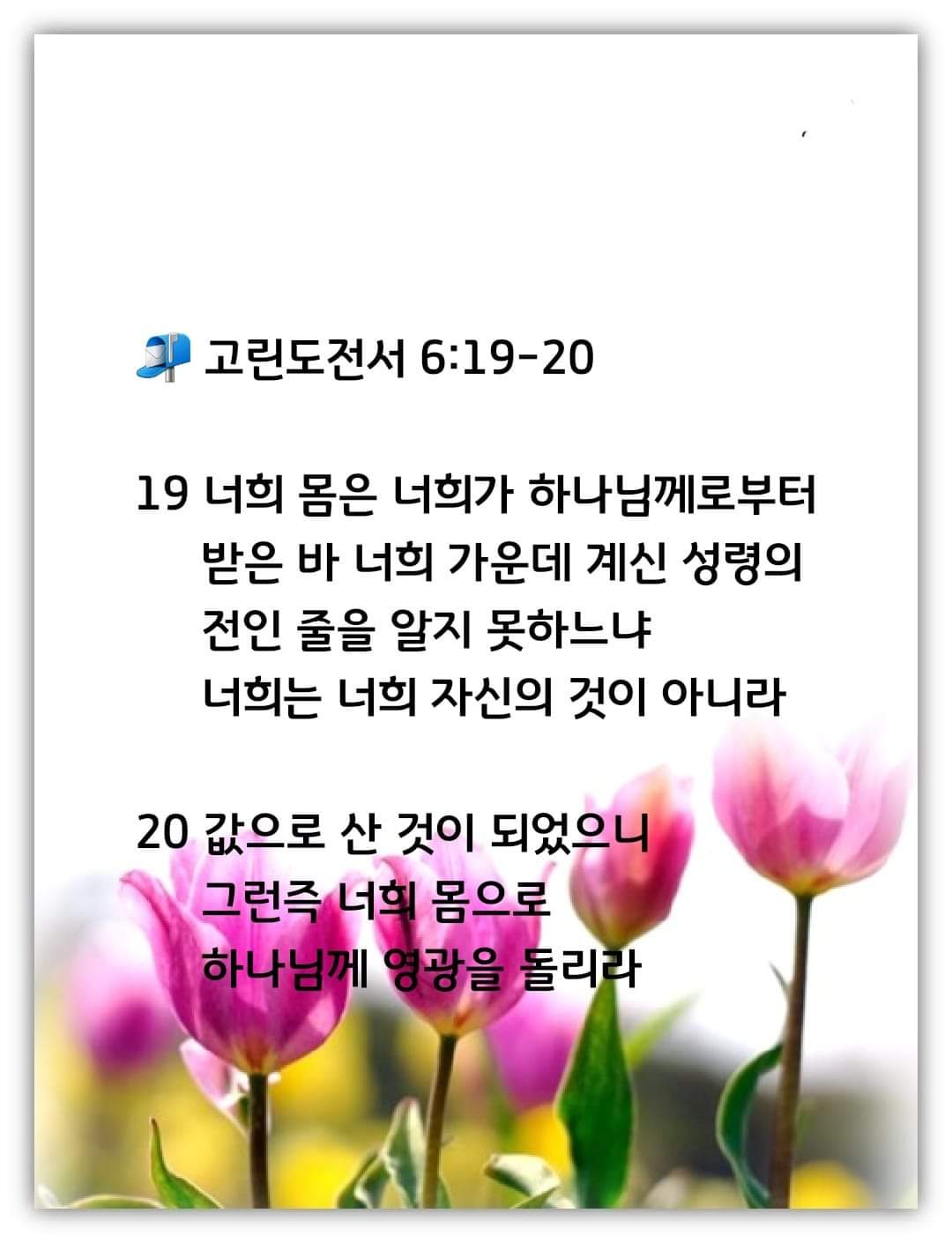 c6bd71eeaafe8.jpg