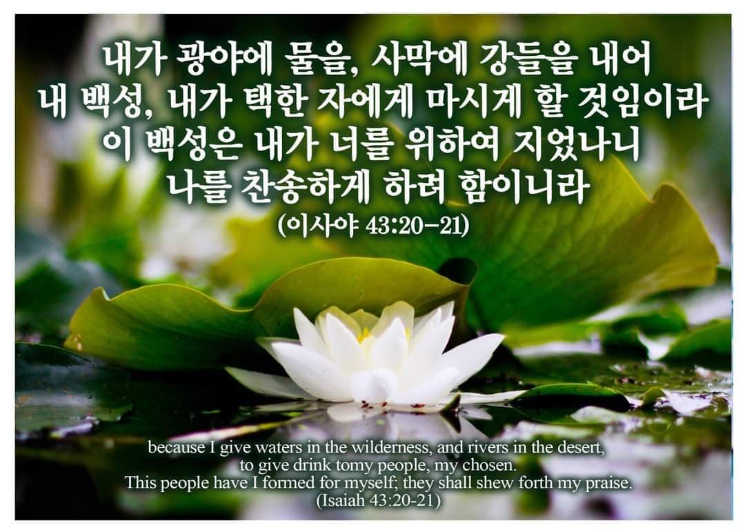 c7f94d31294f3.jpg