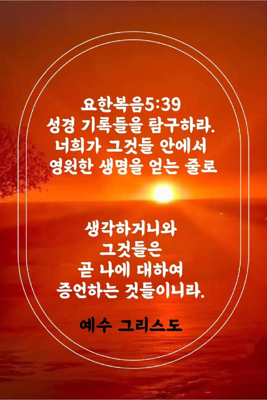 c868420cabee6.jpg