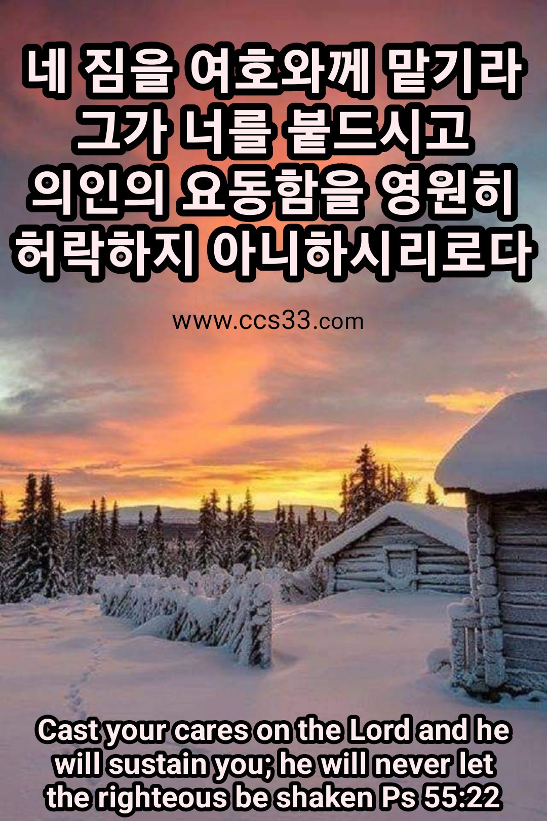 ca707e1cfee03.jpg