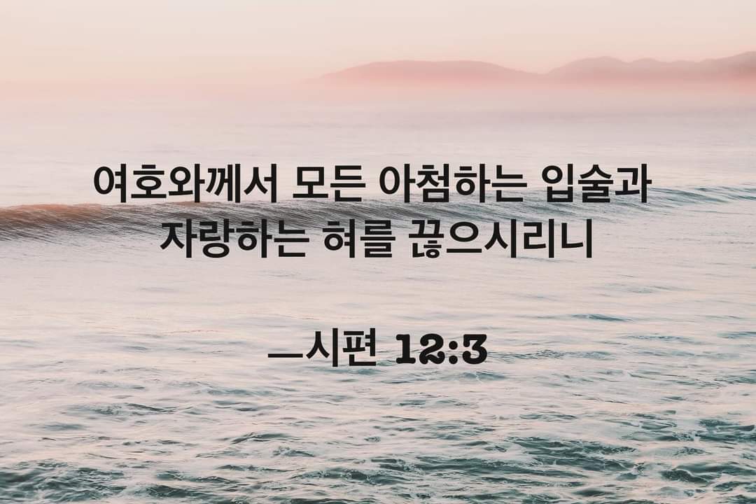 cf6a28f0835c4.jpg