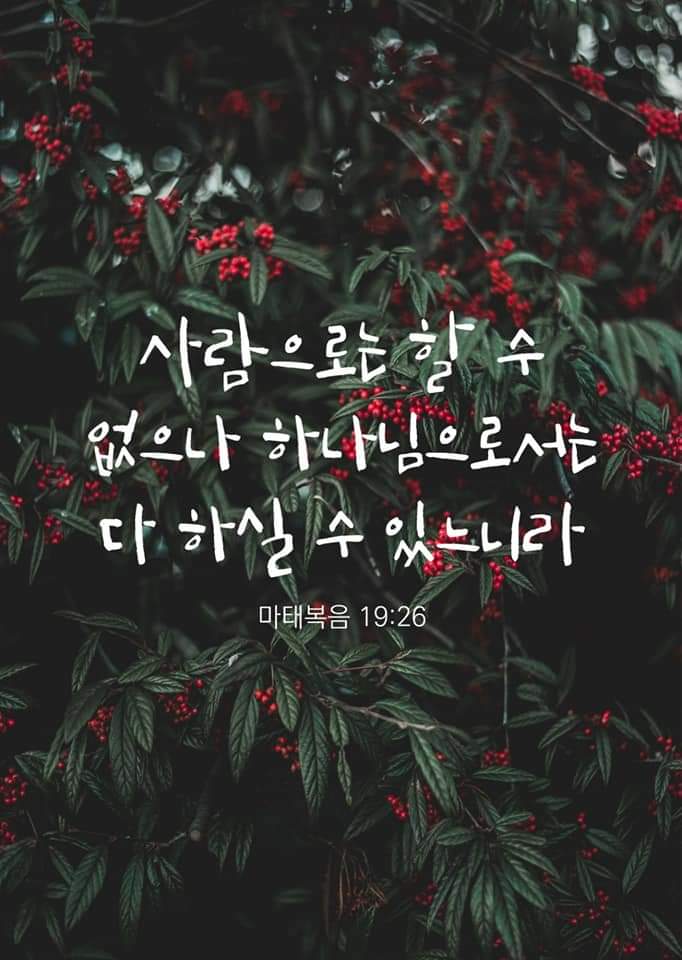 d25d0d73d0e85.jpg