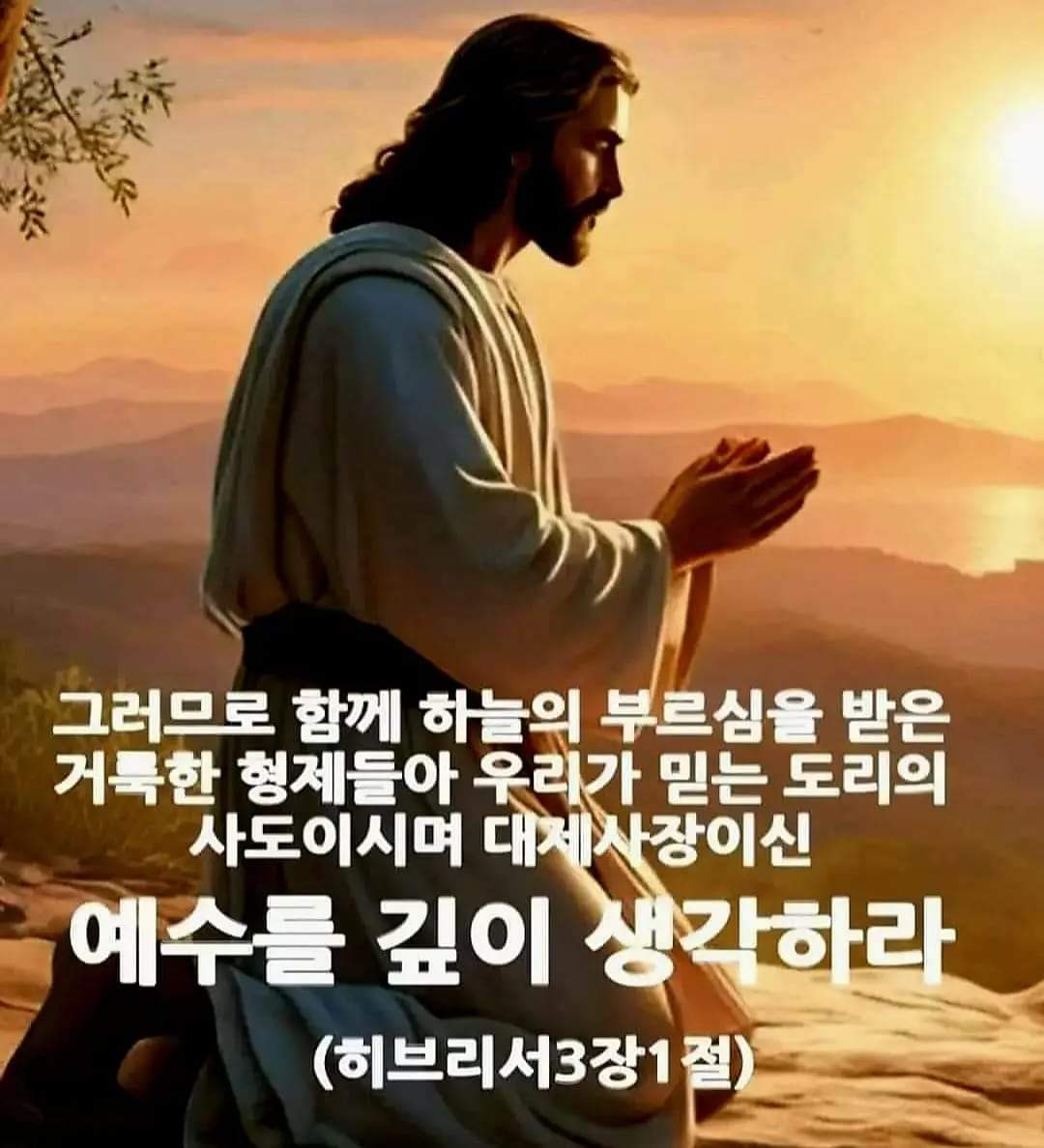 d39b55e9b2e28.jpg