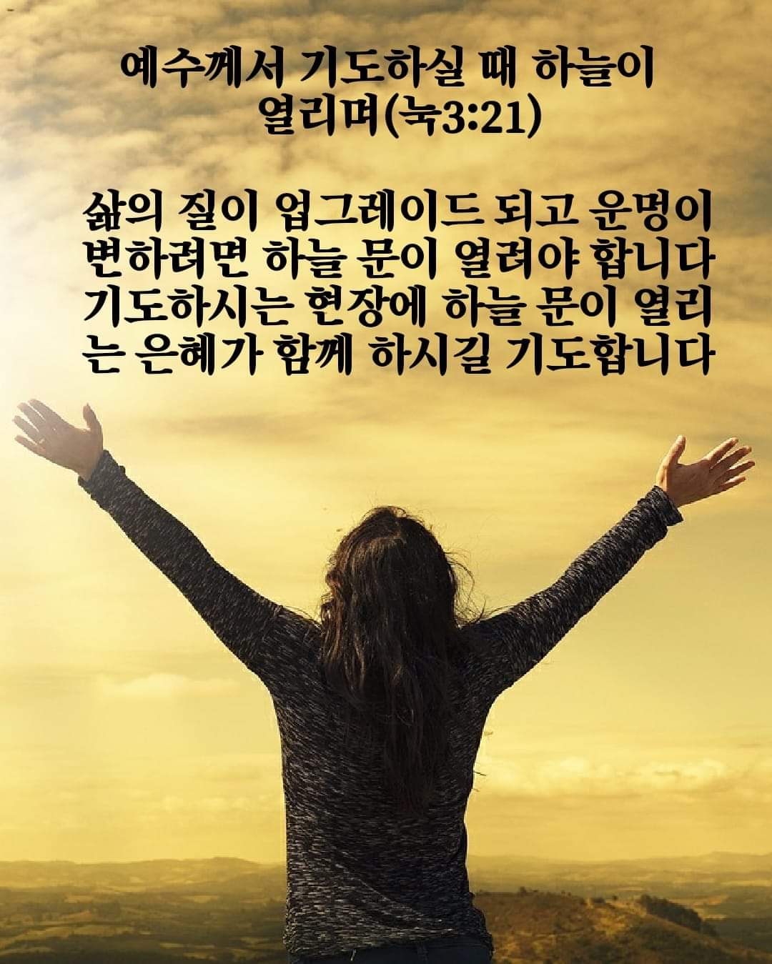 d42ba88e35802.jpg