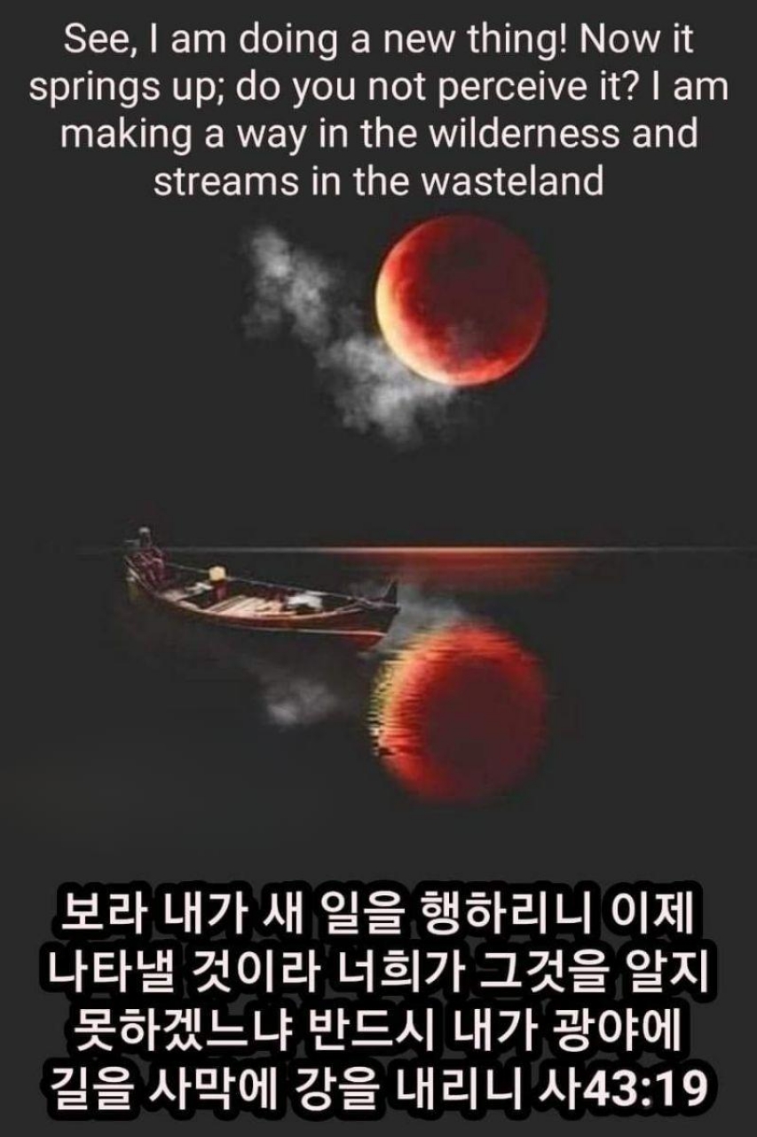 d610bcc9e1e87.jpg